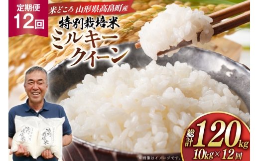 米 定期便 12回 令和8年産 特別栽培米 ミルキークイーン 10kg 12回 計120kg [渡部ファーム 山形県 高畠町 tk06ays810064] ふるさと納税 お米 おこめ こめ コメ 白米 精米 ごはん ご飯 ブランド米