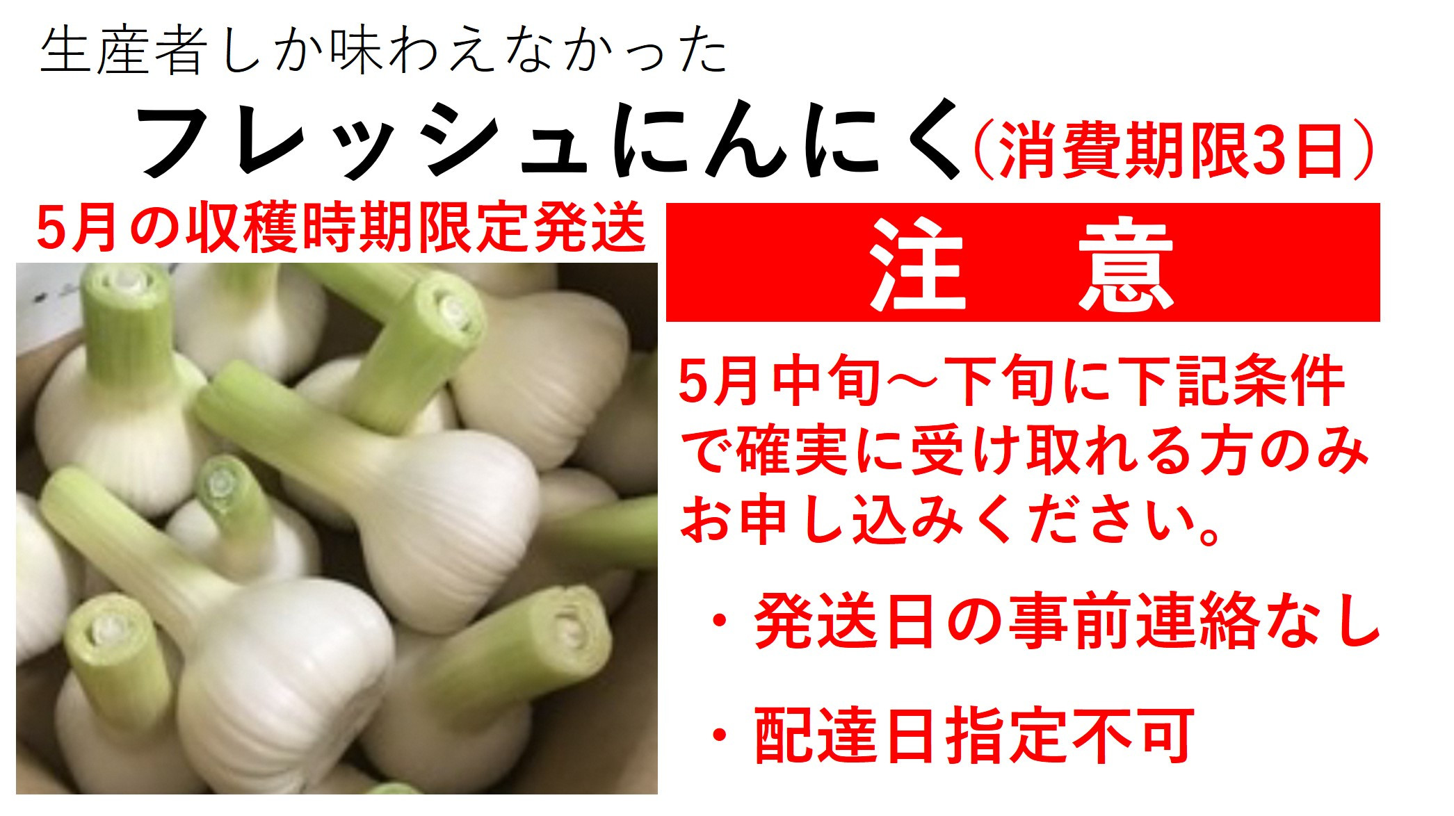 
[10-A6] 5月限定　フレッシュにんにく　特大約1.3kg　10球前後(消費期限のきわめて短い生ものです。5月上旬~下旬に事前の連絡なく、確実にお受け取りできる方のみ、お申し込みください。)
