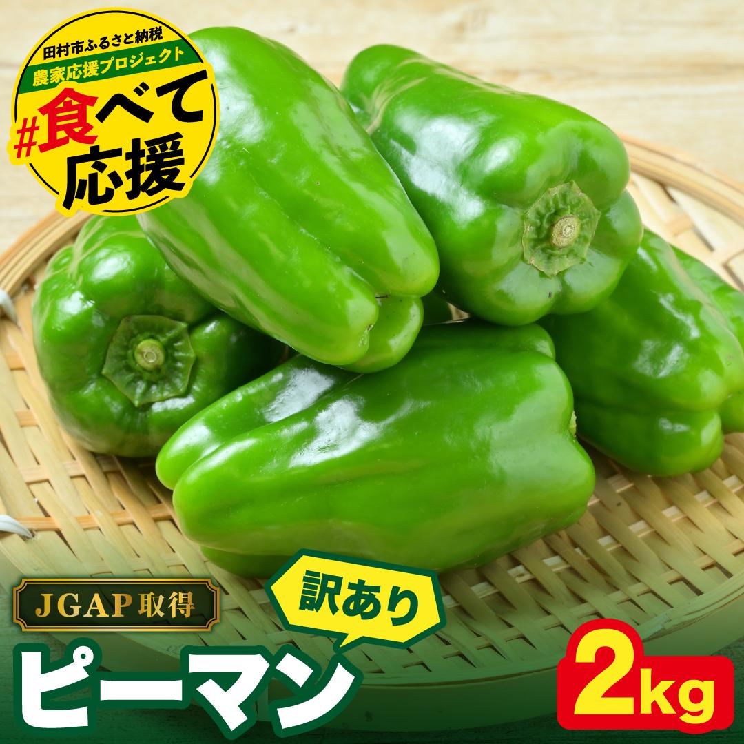 農家さん応援！ 【訳あり】 ピーマン 2kg JGAP取得 農家直送 生活応援 福島県 田村市 株式会社Mファーム