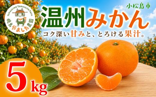 【先行予約】 【2026年12月順次発送】 温州みかん 5kg みかん  完熟 柑橘 果物 フルーツ 国産 新鮮 お中元 甘い 農家直送 【北海道、東北、離島、沖縄配送不可】