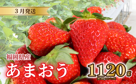 【3月発送】いちご 1120g | いちご TJI