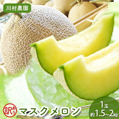 【ふるさと納税】【静岡・三保松原の甘い誘惑マスクメロン】訳ありでも甘い！マスクメロン 1玉（約1.5kg～2kgサイズ）■ | 果物 フルーツ ジューシー 産地直送