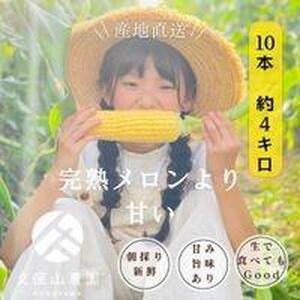 ＜2025年6月発送＞【完熟メロンのように甘い】朝採り!スイートコーン　約4kg（8～10本）【プレゼントにもオススメ】