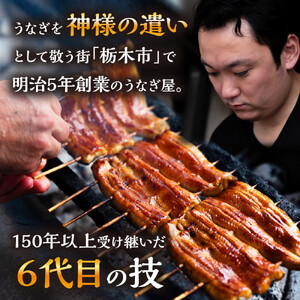 数量限定 国産うなぎ 蒲焼き（長焼き）120g程度×2本　＜オリジナル御朱印付き＞　|  明治５年創業の老舗名店 150年秘伝のタレ付き 国産養殖うなぎ 蒲焼き うな重 ひつまぶしに 栃木県 栃木市