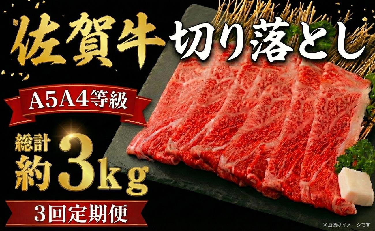 
            【定期便】佐賀牛 切り落とし 1kg (500g×2パック) 3回定期便 牛肉 和牛 小分け 冷凍
          