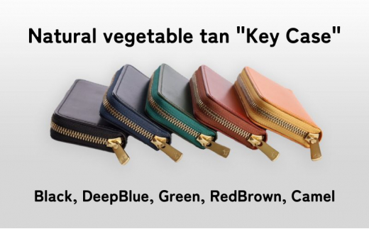 [№5258-8088]1099 Key Case Red Brown