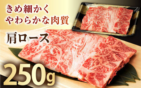 佐賀牛焼肉セット（モモカタ赤身/肩ロース）【吉祥】HCW002 焼肉 BBQ