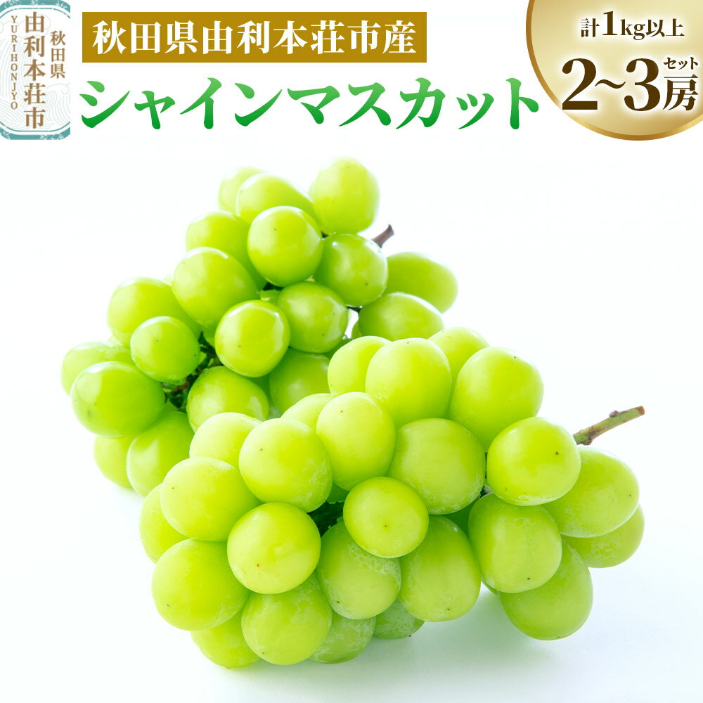 【ふるさと納税】秋田県由利本荘市産 シャインマスカット 2〜3房セット