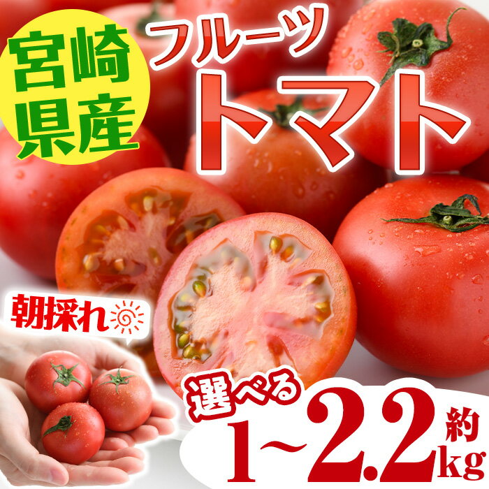 【ふるさと納税】＜内容量が選べる！＞フルーツ トマト(約1～2.2kg)リコピン スライストマト サラダ 惣菜 生 野菜 とまと 料理 朝採れ 宮崎県【KT-8・KT-4】【K.TFarm】