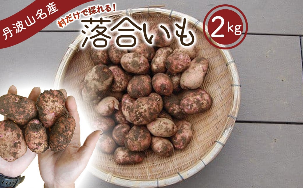 
                  【先行予約】 丹波山村の在来種 ジャガイモ　落合いも 約2kg　／ 2026年8月より順次発送 希少 数量限定 地野菜 ご当地野菜 珍しい じゃがいも 芋 馬鈴薯【tab0237】
                