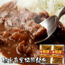 【ふるさと納税】[北海道根室産]短角和牛の牛すじカレー4P A-18038