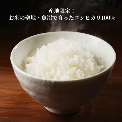 ふるさと納税 小千谷市 ふっくら美味しい魚沼産こしひかり パックご飯 180g×10個 たかの |  | 01