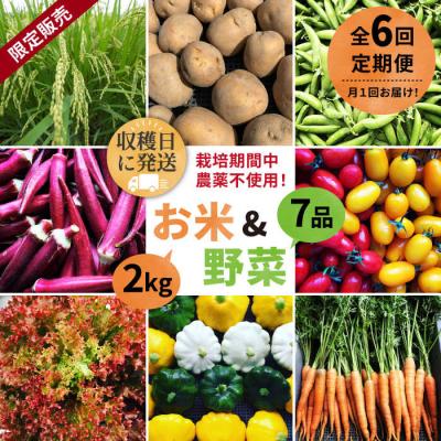 ふるさと納税 糸島市 【全6回定期便】☆畑直送☆限定!栽培期間中農薬不使用!お米2kg&amp;野菜7品セット[AGE037]