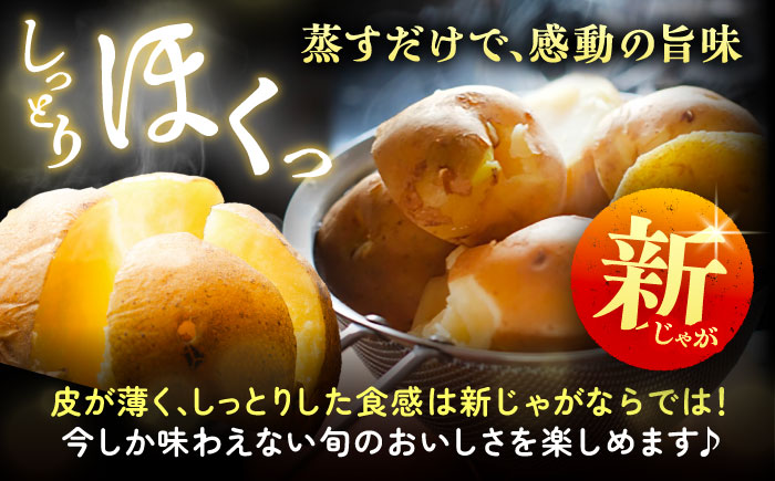 北海道産 じゃがいも 2種食べ比べセット 各5kg（男爵＆キタアカリ）《足寄町》【党崎農場】[BEAA005]