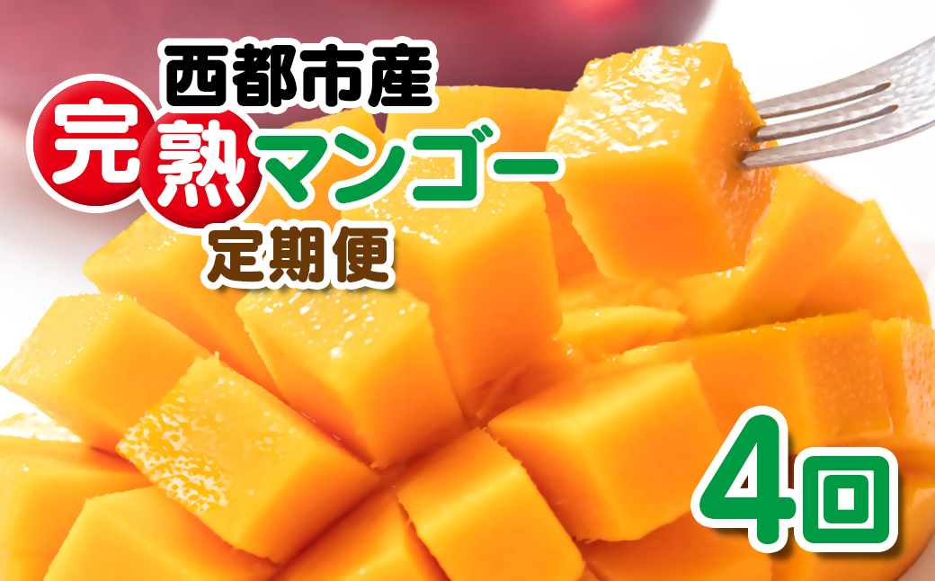 【4回定期便】2027年発送 西都市産完熟マンゴー2玉合計900g～1kg程度×4回【先行予約】宮崎完熟マンゴー＜1-12a＞