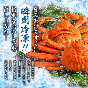 【茹でたて瞬間冷凍】ズワイガニ 650g前後×3尾 北海道 蟹 ズワイ