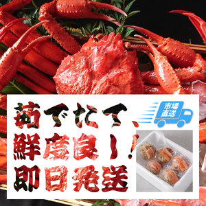 【年内発送】【訳あり】【生親がに 100g 5匹】 カニ ズワイガニ 松葉ガニ N100_I
