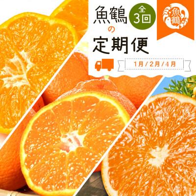 ふるさと納税 かつらぎ町 【発送月固定定期便】紀州和歌山産旬の柑橘セット(みかん・不知火・清見)全3回