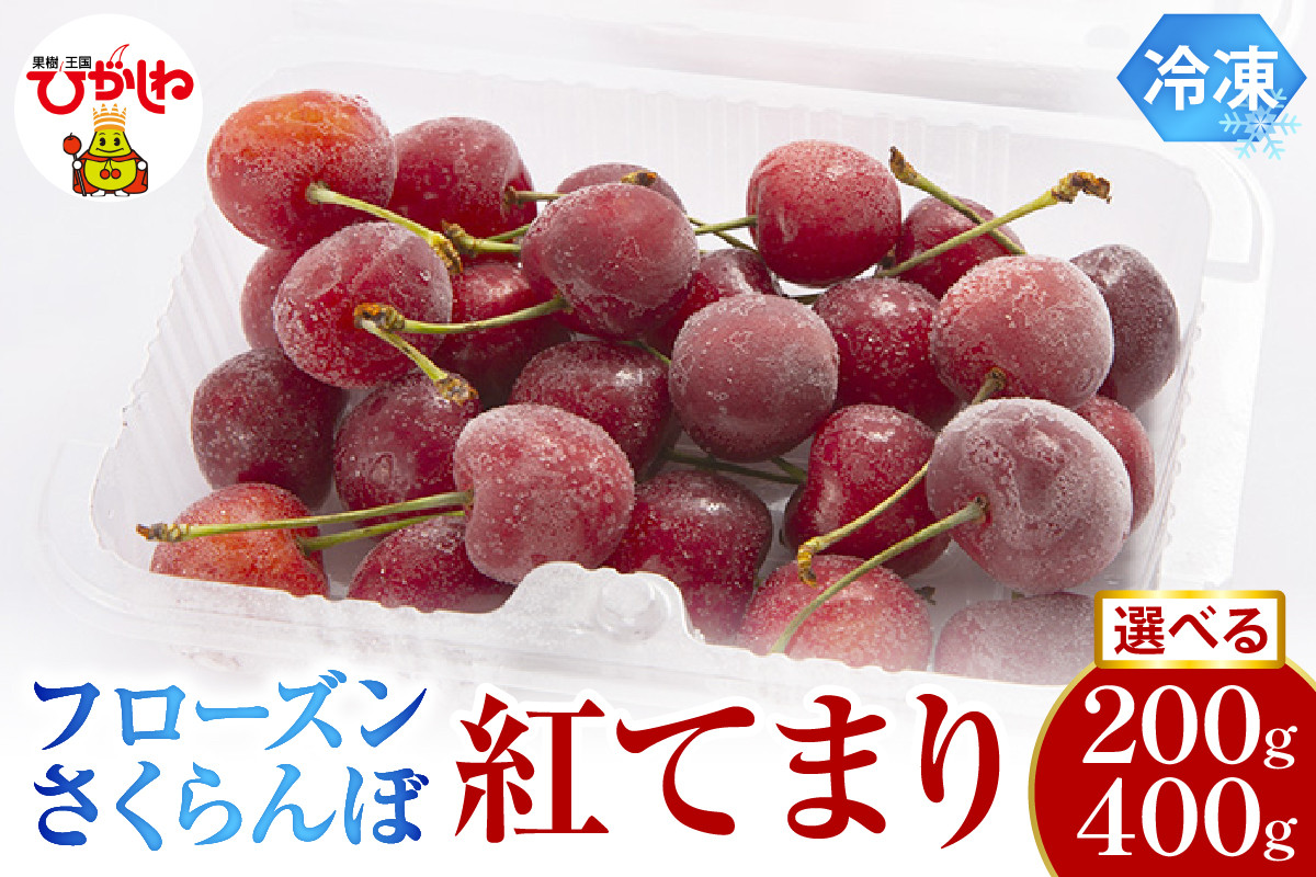 
            ≪内容量が選べる≫　フローズンさくらんぼ「紅てまり」200g入【1パック・2パック】有限会社佐藤錦提供 山形県 東根市 hi004-hi029-014r-o
          