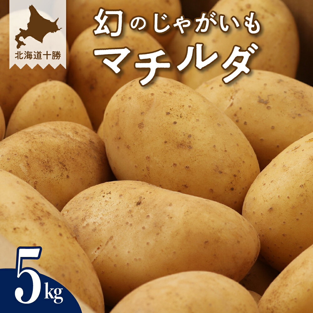 【ふるさと納税】幻の じゃがいも マチルダ 5kg キャンプ 飯 BBQ アウトドア ジャガイモ 越冬 ポテト 濃厚 芋 イモ いも 野菜 カレー シチュー ポテトサラダ フライドポテト グラタン 北海道 十勝 芽室町