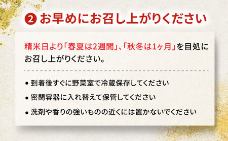 【令和6年度産】岐阜県産米ハツシモ10kg 米 米 米　岐阜市 / 藍川ファーム[ANHI002]