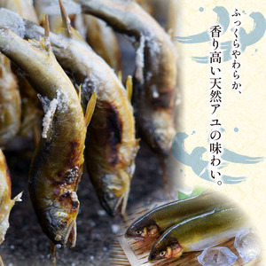 鮎 天然あゆ 1袋 400g 清流 釣り鮎 川魚 鮎 鮎 鮎 鮎