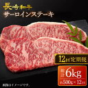 【ふるさと納税】【訳あり】【12回定期便】 長崎和牛 サーロイン ステーキ 約500g（2枚） 【大西海ファーム食肉加工センター】 [CEK181]