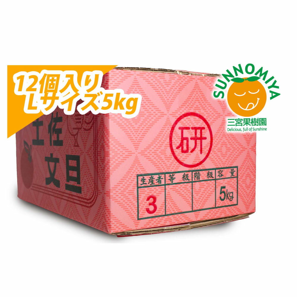 【ふるさと納税】【先行予約】三宮果樹園の土佐文旦 ご家庭用Lサイズ 5kg ぶんたん ブンタン 5キロ フルーツ 柑橘 みかん 果物 くだもの 柑橘類 デザート ご家庭用 自分用 お取り寄せ おいしい 国産 高知県 土佐市 こうち 返礼品