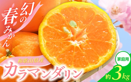 【先行予約】家庭用 訳あり カラマンダリン なつみ 和歌山 有田  2S~3Lサイズ混合3kg【4月上旬～5月上旬までに順次発送予定】/ みかん フルーツ 果物 くだもの 蜜柑 柑橘【ktn035A】