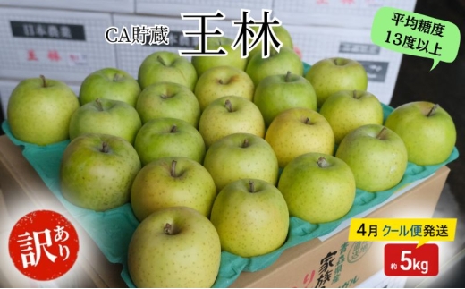 りんご 【4月クール便発送】 平均糖度13度以上 訳あり品 家庭用 CA貯蔵 王林 約 5kg 【 青森りんご 】 フルーツ リンゴ 青森県 王林りんご 家庭用 ジューシー