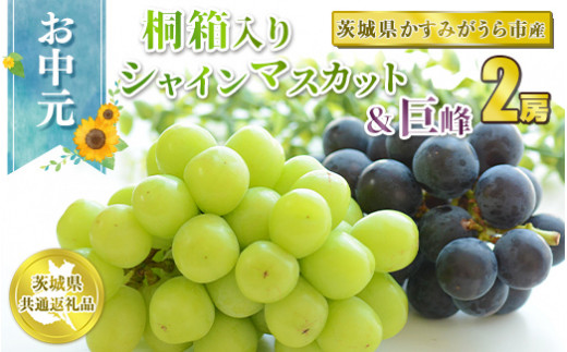 お中元 シャインマスカットと巨峰桐箱入り2房 【茨城県共通返礼品 かすみがうら市】　※2024年8月上旬～中旬頃に順次発送予定