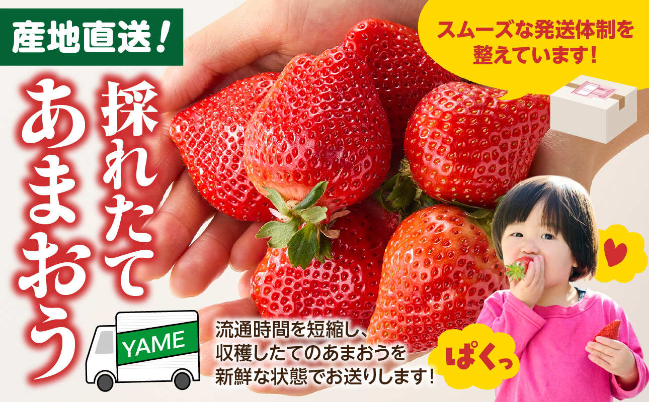 【先行受付：2027年2月発送開始】博多あまおうＧ270g×2パック｜JAふくおか八女 あまおう いちご 苺 イチゴ フルーツ 果物 くだもの 人気 旬 福岡県産 大粒 アフター補償 数量限定 期間限