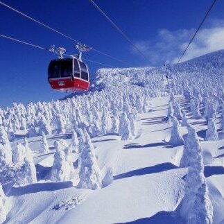 蔵王ロープウェイ乗車券(4区間券)引換券 FZ22-869 蔵王 旅行 山形 山形県 リフト ロープウエイ 樹氷 チケット