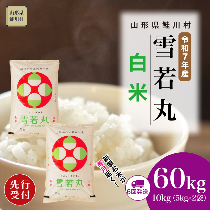 ＜令和7年産米先行受付＞ 鮭川村産 雪若丸 【白米】60kg定期便(10kg×6回)　配送時期指定できます！