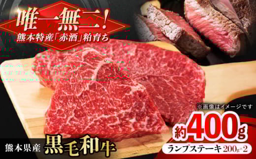 熊本県産 『原田畜産』 黒毛和牛 ランプ ステーキ 計約400g（約200g×2パック） 牛肉 牛【有限会社 九州食肉産業】黒毛 和牛 国産 ランプステーキ お肉 肉 熊本県 熊本 合志 合志市 [AYCN087]