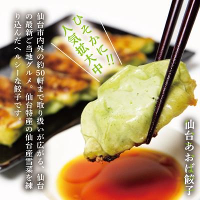 ふるさと納税 宮城県 【新仙台名物】雪菜を練り込んだヘルシーな『仙台あおば餃子』40個セット(20個×2袋・バラ入り) |  | 01