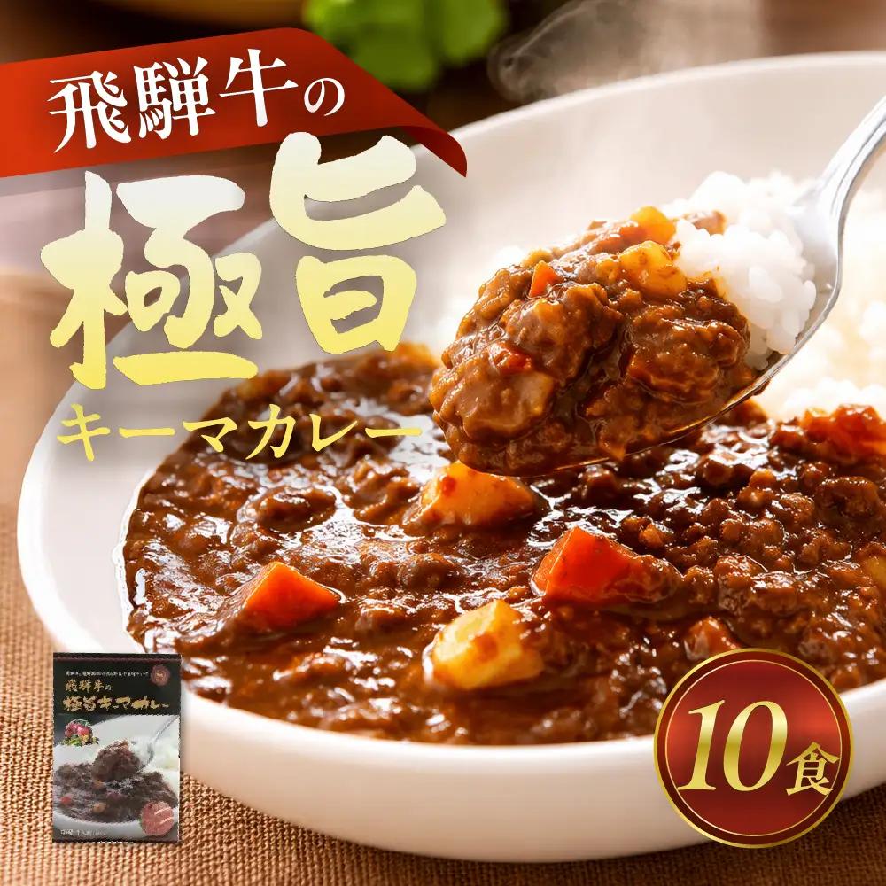 飛騨牛の極旨カレー 10食セット / カレー レトルト [C0062pic]