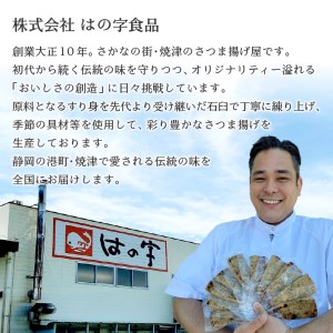 a10-779　ありがとう 練り物 セット 詰合せ ギフト