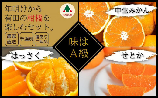 
                  定期便 年明けから有田の柑橘を楽しむセット 南泰園
                