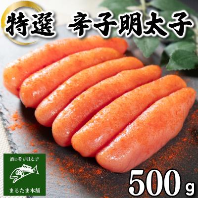 ふるさと納税 下関市 特選 明太子 500g 冷凍 DT113-1