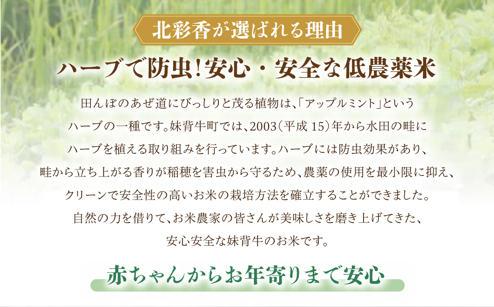 令和8年産 妹背牛産 頂寒熟米 【北彩香(ゆめぴりか・ななつぼし)】2027年1月発送 一括　令和9年1月発送