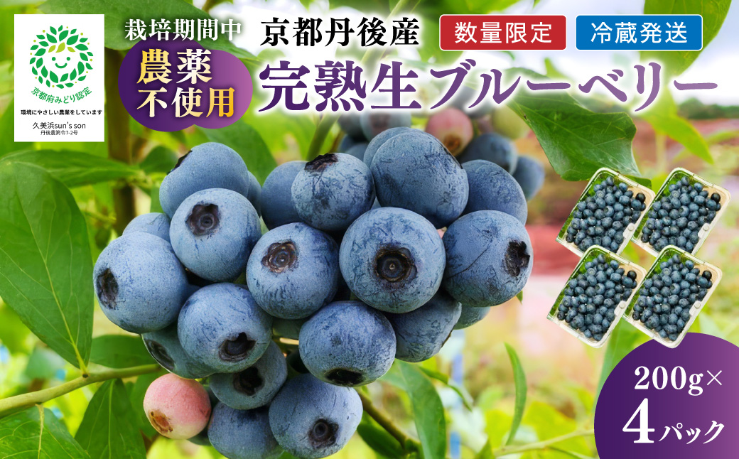 【数量限定40】完熟ブルーベリー 生果 200g×4パック（栽培期間中農薬・化学肥料・除草剤不使用）（2026年7月上旬～発送） ブルーベリー ルーツ 果物 アントシアニン  期間限定 生産者応援 農家応援 送料無料　KU00069