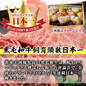 【希少ホルモンあり！】国産黒毛和牛ホルモン焼肉食べ比べセット(合計1.28kg) 食べ比べ 焼肉 黒毛和牛【カミチク】A829