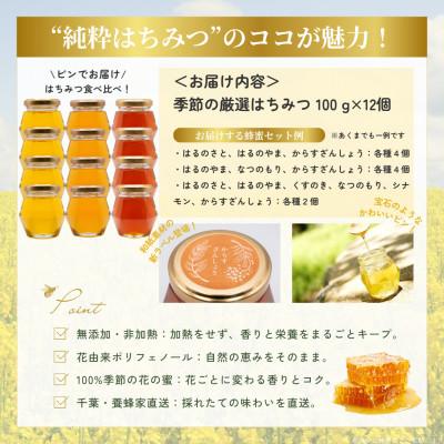 ふるさと納税 大網白里市 千葉県産「厳選はちみつ」【計1.2kg】100g×12個【ランダムにセレクト】 |  | 03