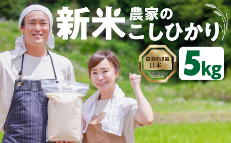 数量限定 13000円 新米農家のこしひかり 5kg お米 おこめ 米 コメ ごはん コシヒカリ ご飯 ブランド米 精米 令和7年 6か月 令和6年産 売り切れ 米 備蓄米 よりおいしい 愛知県 田原