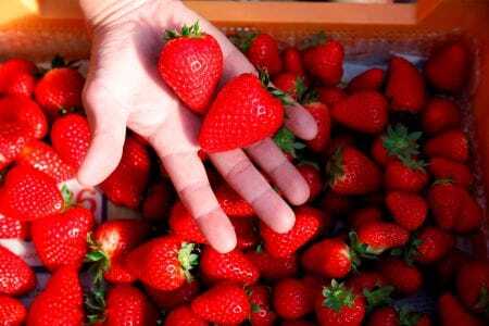 古都姫 350g 化粧箱　20-057