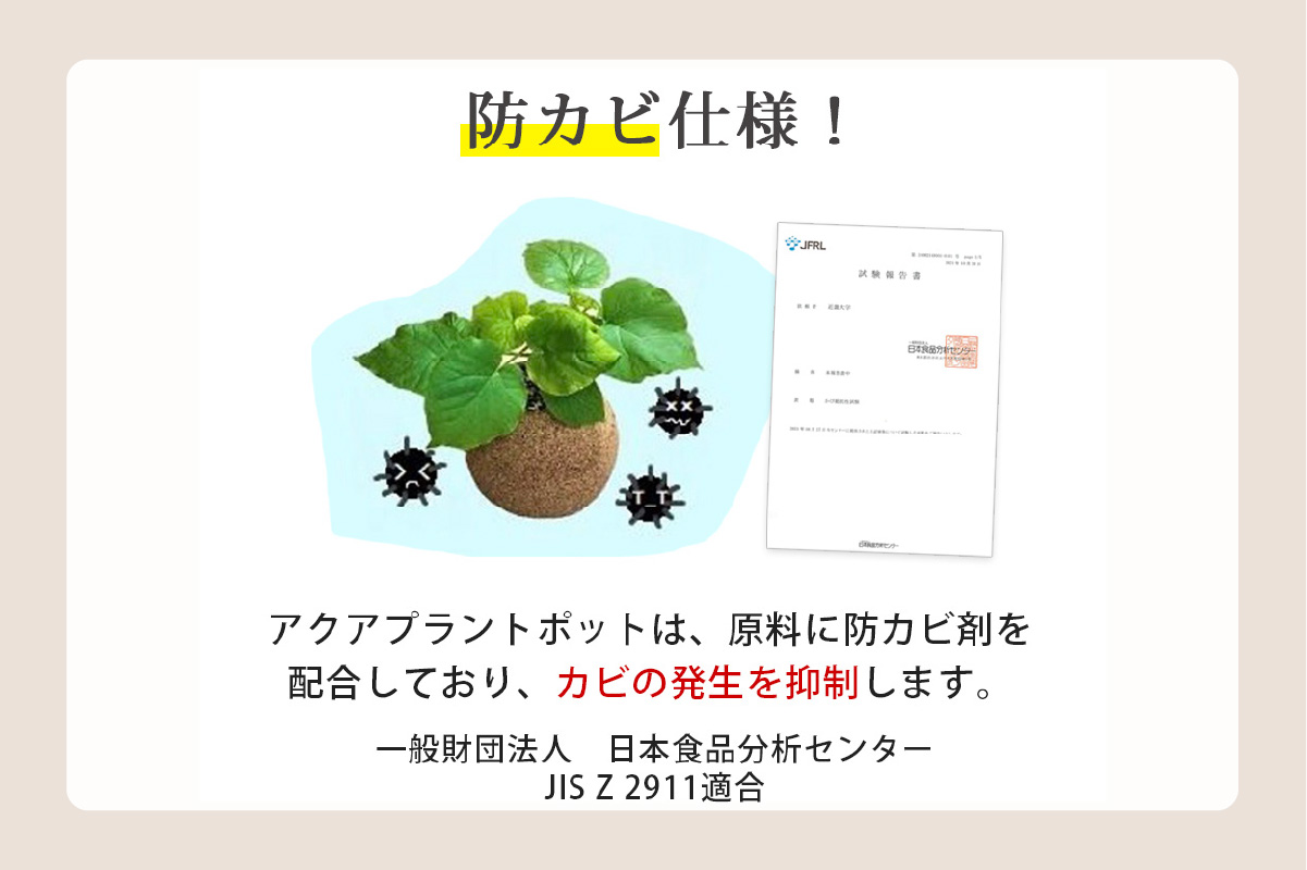 アクアプラントポット®　玉Ｍ 植木鉢　ガジュマル（2091）