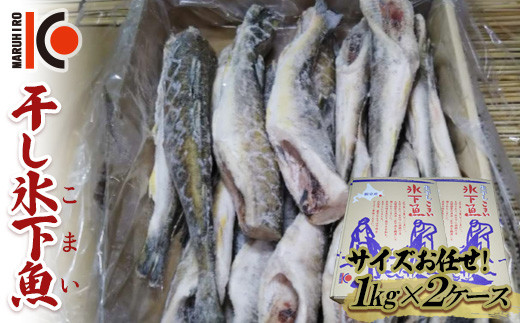 
干し氷下魚(サイズお任せ)1kg×2ケース こまい コマイ 魚 白身魚 おつまみ 肴 おかず F4F-2597
