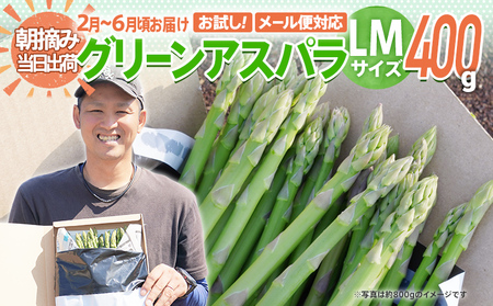 アスパラガス LM 400g【2025年2～6月配送】 BT12