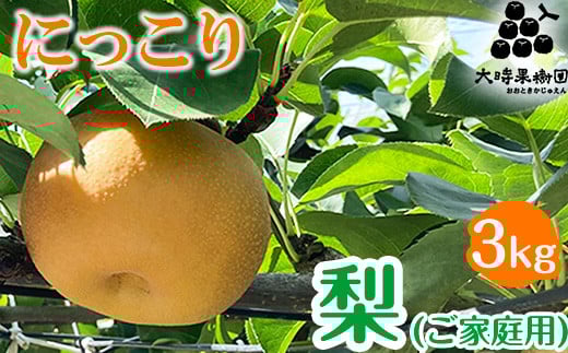 
            【先行予約】梨 にっこり (家庭用)  3kg ※2025年10月中旬頃より順次発送予定
          